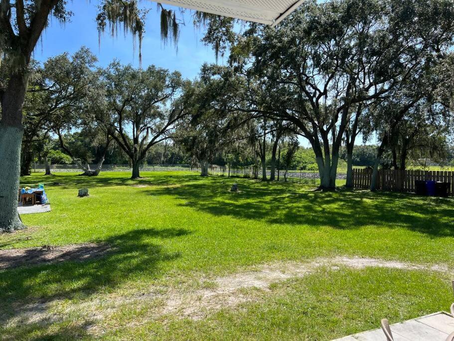 In With Huge Backyard