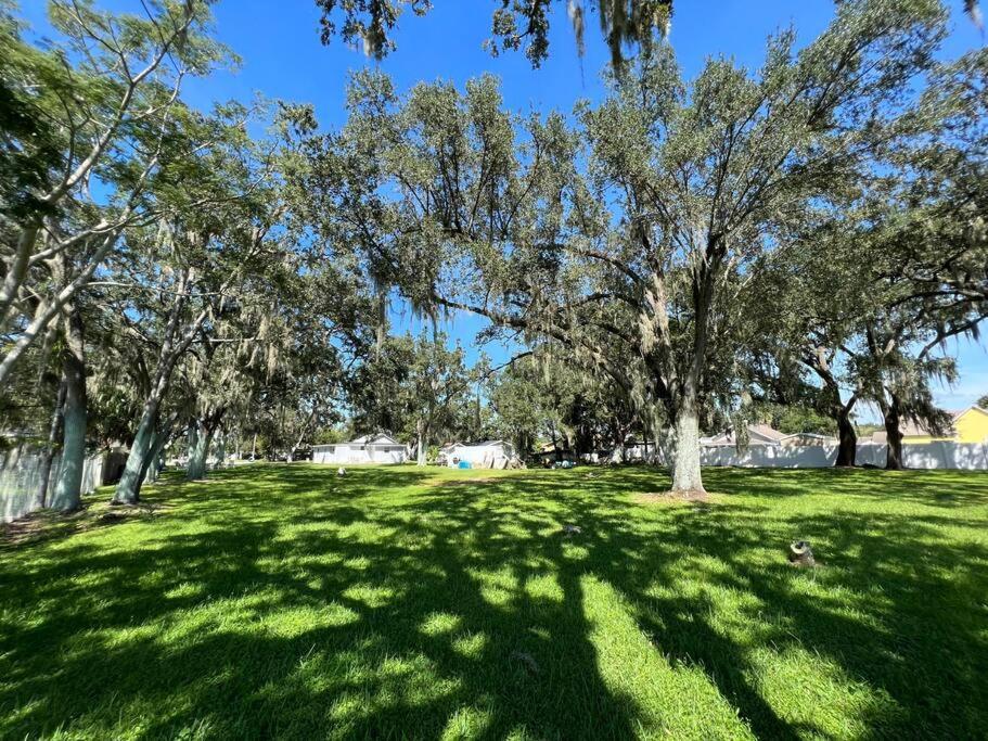 In With Huge Backyard * Kissimmee