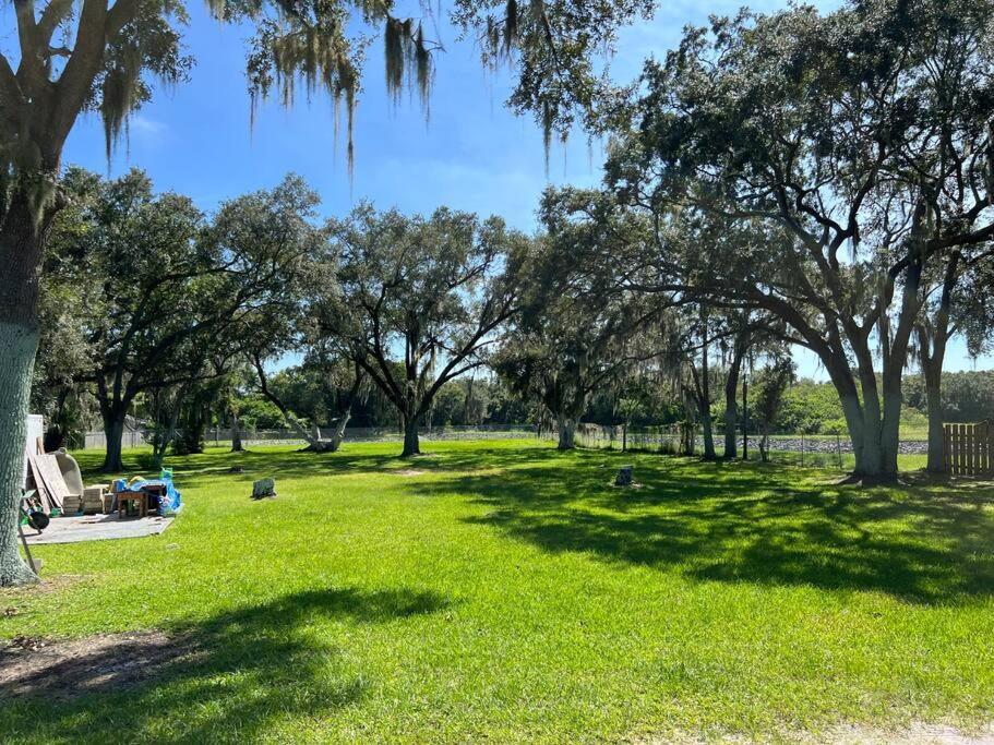 In With Huge Backyard *
