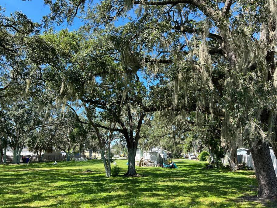 In With Huge Backyard * Kissimmee